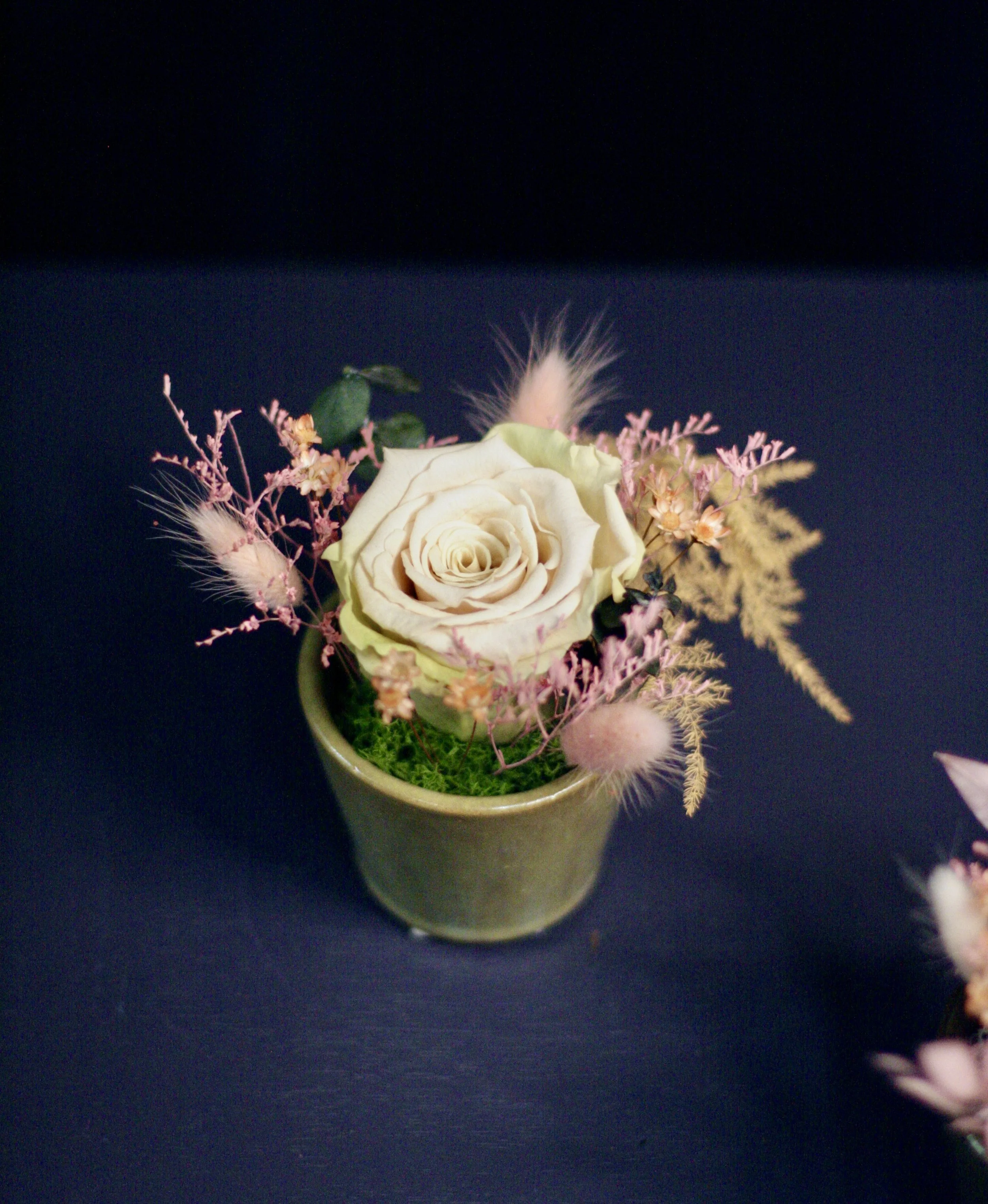 rose éternelle saint valentin