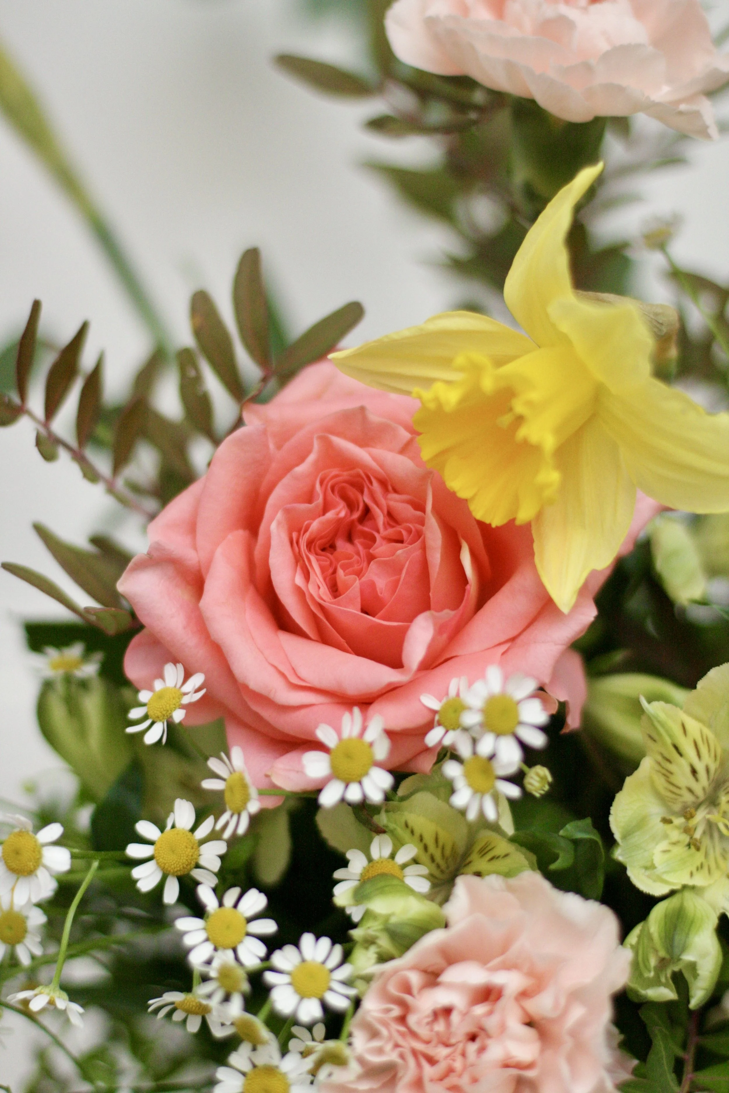 bouquet soleil fleurs printemps jonquille grands-mères Pâques livraison val d'Europe serris