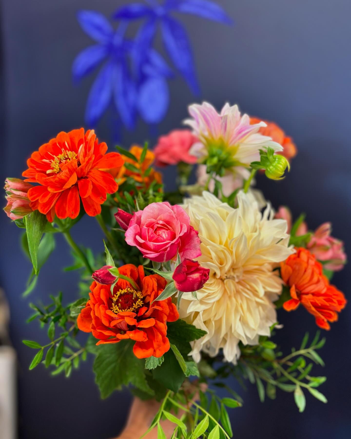 Summer vibes 

Passiflore is open ! 

On vous accompagne pour ces derniers jours du mois d&rsquo;ao&ucirc;t, on profite des couleurs p&eacute;tillantes, et un peu de soleil ☀️ apr&egrave;s les averses

#flowers #summervibes #&eacute;t&eacute; #fleurs