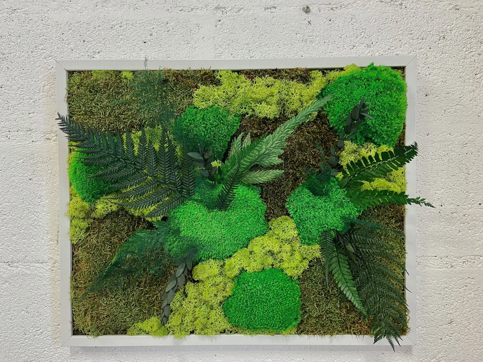 Le Petit Tableau Végétal - 13 juin - 15h30