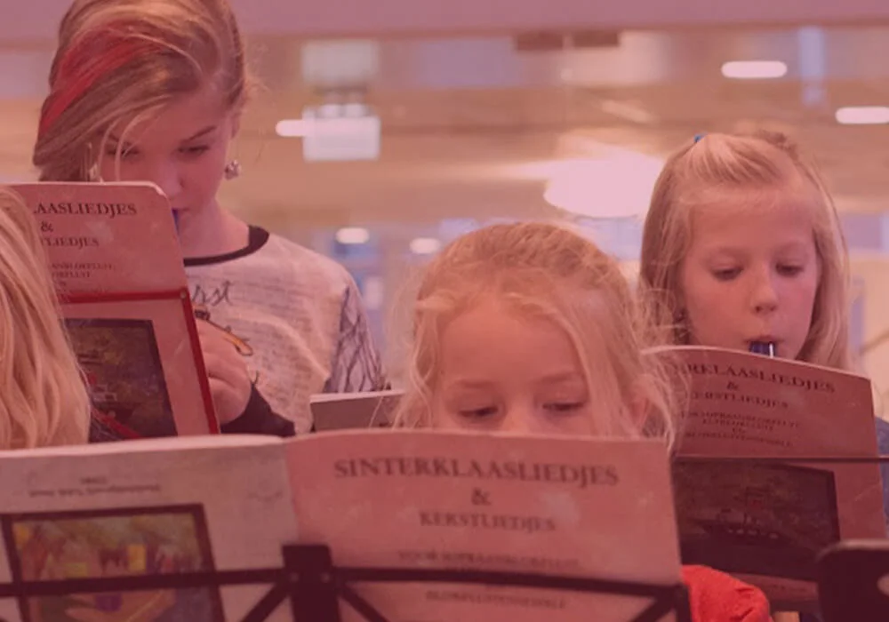 blokfluit sinterklaas optreden muziek op maat zuidhorn