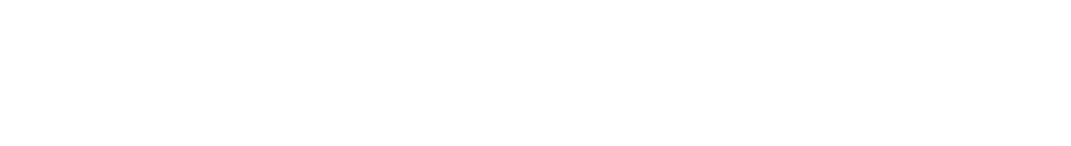 Meet the Team