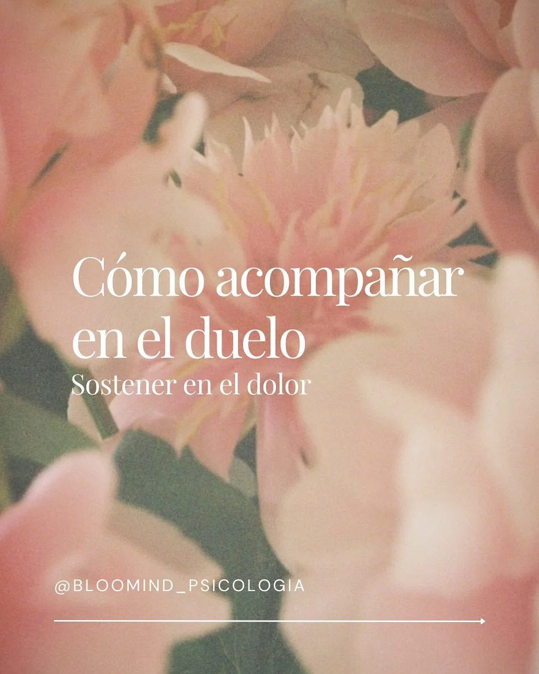 Cuando tenemos cerca a una persona que est&aacute; pasando por un du3lo, a veces resulta complicado saber qu&eacute; hacer, c&oacute;mo acompa&ntilde;ar. 

Queremos decir algo que le quite el dolor a la persona y sentimos que toda palabra se queda co