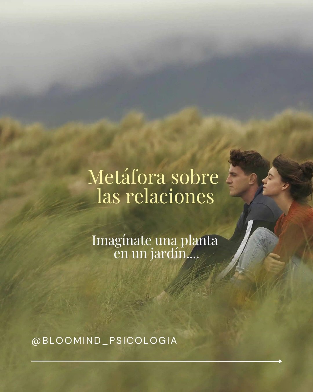 Hoy te traigo una nueva met&aacute;fora sobre las relaciones 🌹

&iquest;La hab&iacute;as escuchado?

#relaciones  #psicologia #met&aacute;fora #saludmental #terapia