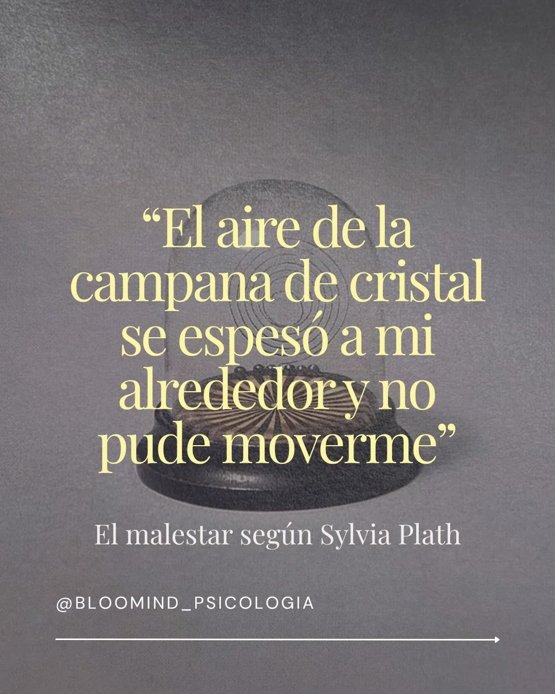 En la novela semiautobiogr&aacute;fica escrita por Sylvia Plath que os hablo en el post, podemos ver a trav&eacute;s de su personaje Esther y de las met&aacute;foras que utiliza, su malestar y la sensaci&oacute;n de desconexi&oacute;n que sufre mient