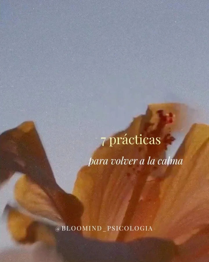 Antes de seguir scrolleando, detente un momento y realiza una de estas pr&aacute;cticas para bajar el ritmo, relajar el cuerpo y volver a la calma🩵

&iquest;Cu&aacute;l te ha gustado m&aacute;s?

Un abrazo🌹

#saludmental #relajacion #psicologia