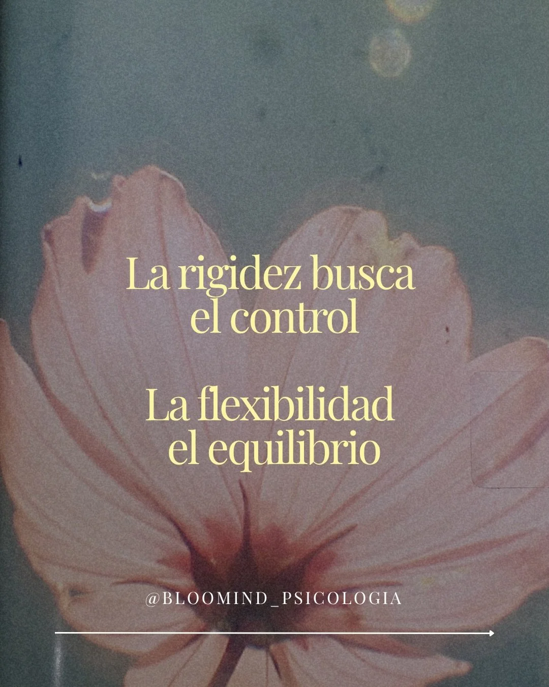 La flexibilidad psicol&oacute;gica es uno de los factores de protecci&oacute;n de nuestra salud mental m&aacute;s importantes.

En diversos estudios encontramos que a mayor inflexibilidad psicol&oacute;gica, menor bienestar.
Y se ha observado que est