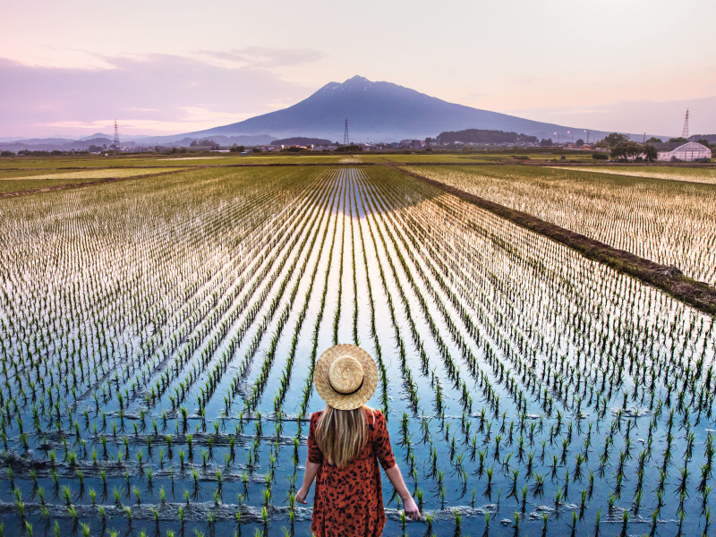 DI_2016_0530_CD_Storytravelers_Rice_Field_Mt_Fuji_Aomori_Japan_2189_CvD_RGB-2.jpg