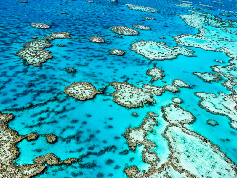 shutterstock_134885012-3.jpg