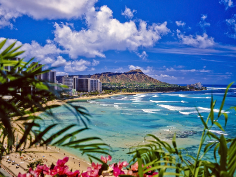 2016_0330_Hawaii_Waikiki_dreamstime_11833955 (1).jpeg