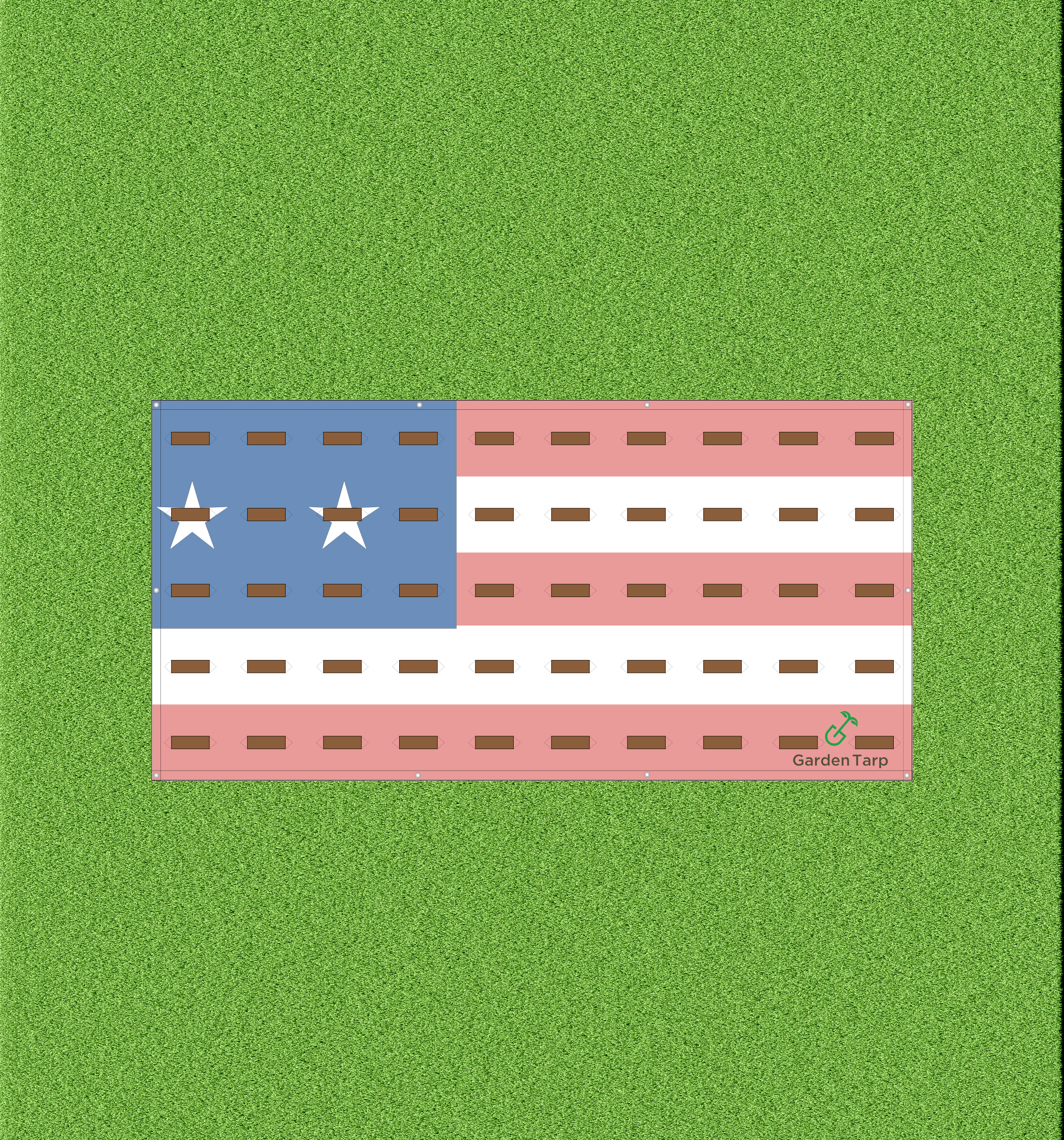 sf-with-dirt&grass.png