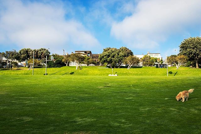 Sundays at the park 💚
.
.
.
.
.
.
.
#localpark #manhattanbeach #manhattanbeachlife #greenspaces #loveyourneighborhood #southbay #realestate