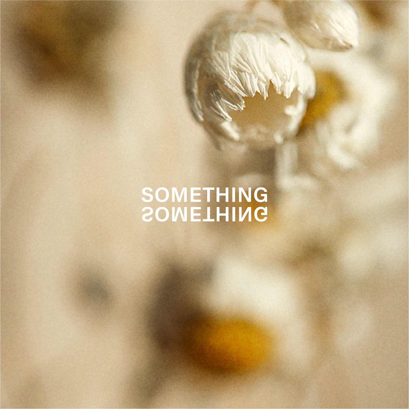 SomethingSomething-square-images-15.jpg