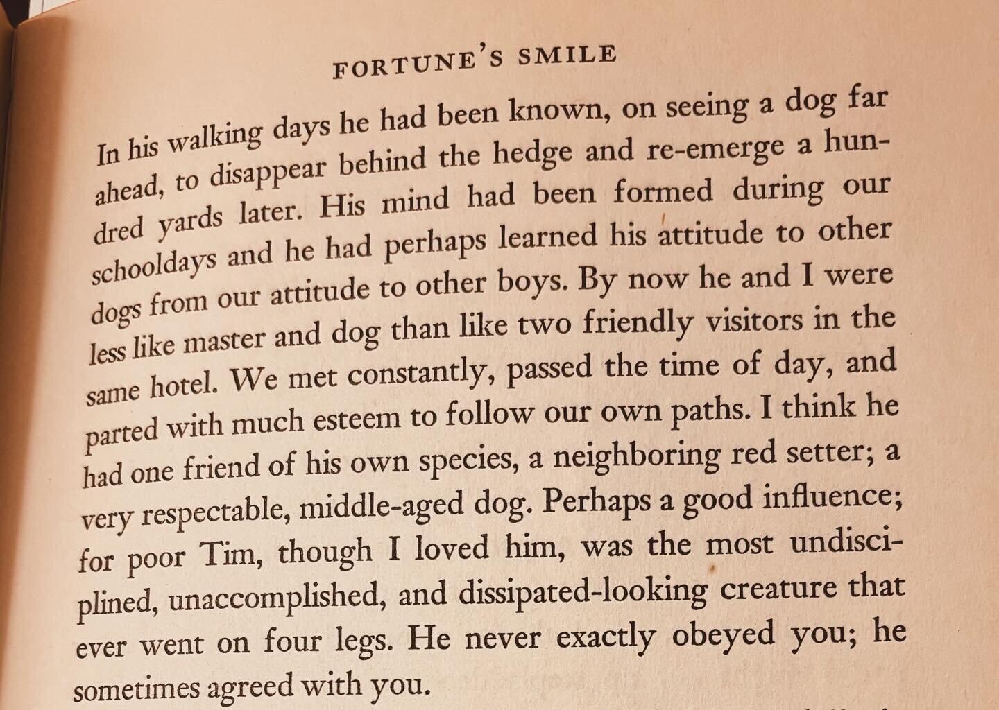 CSLewis describing his independent loner childhood dog Tim: