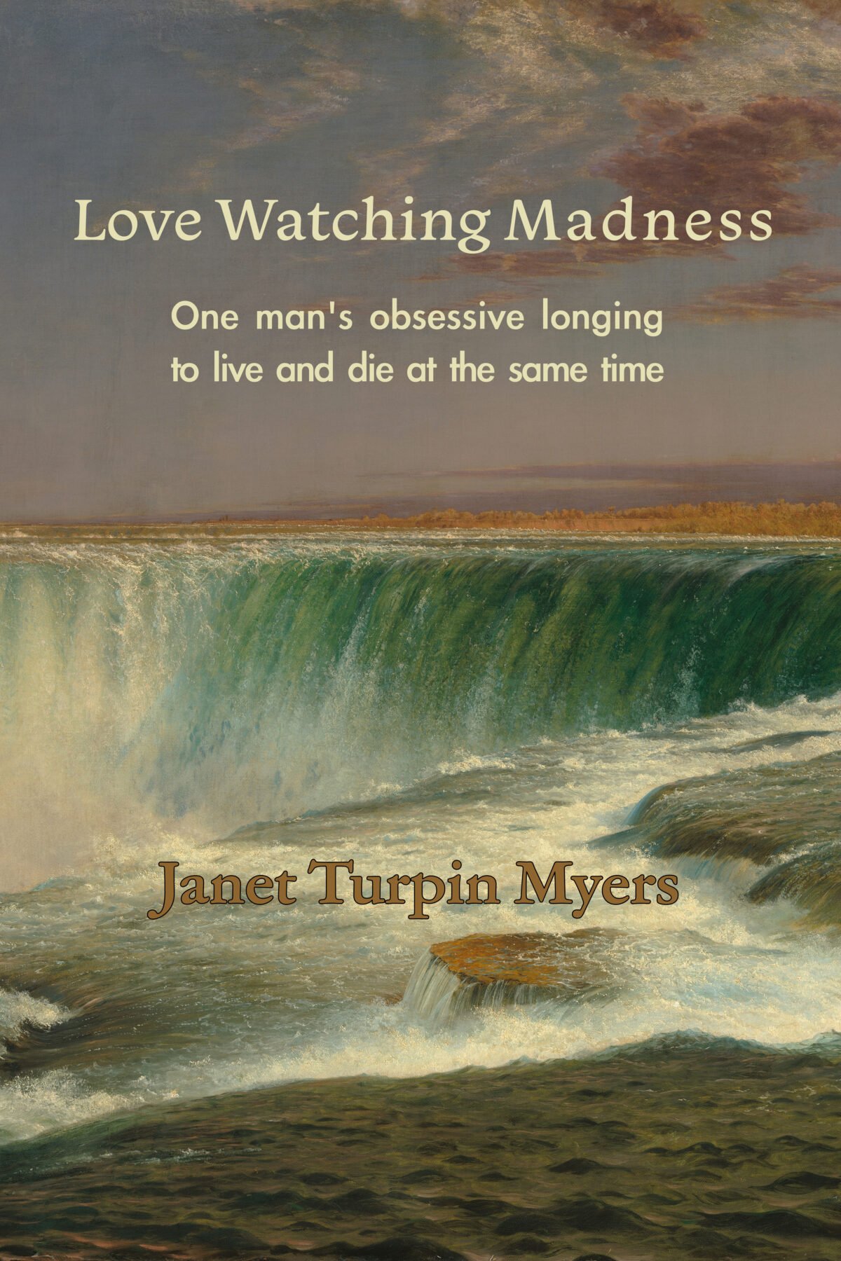 book cover for Love Watching Madness