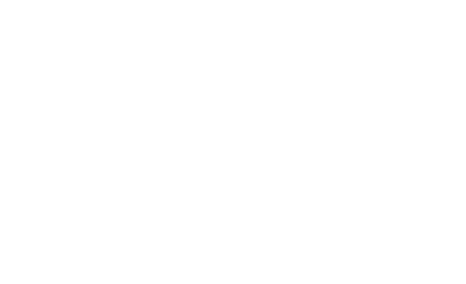 light Cycle.png