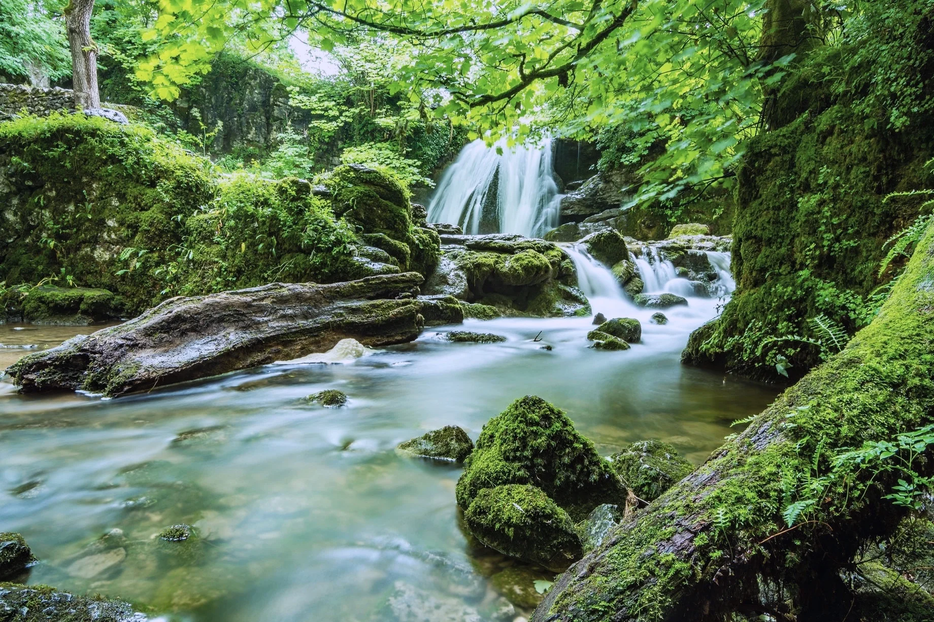 beautiful-cascade-environment-460621.jpg