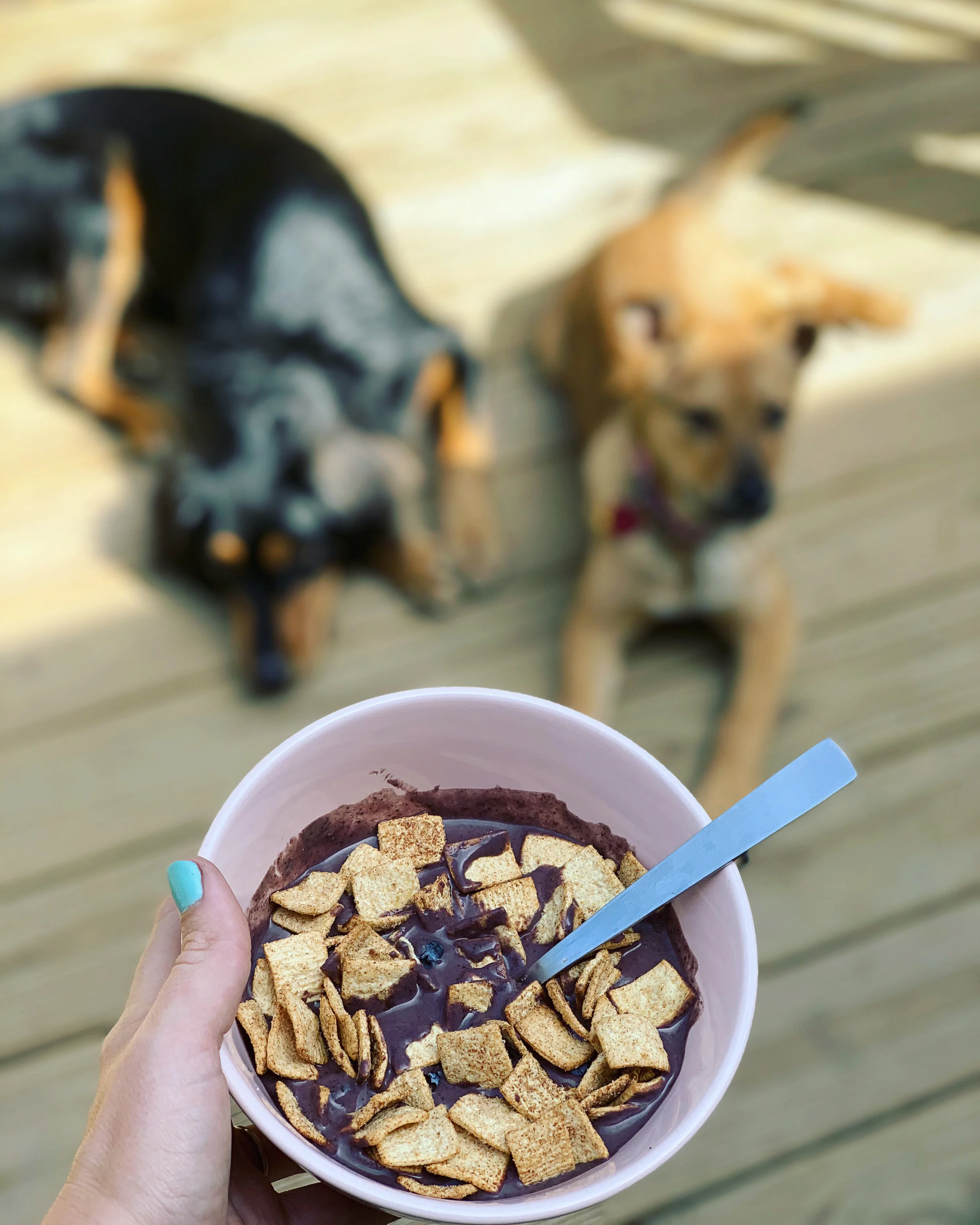 Food as Fuel (during Quarantine)