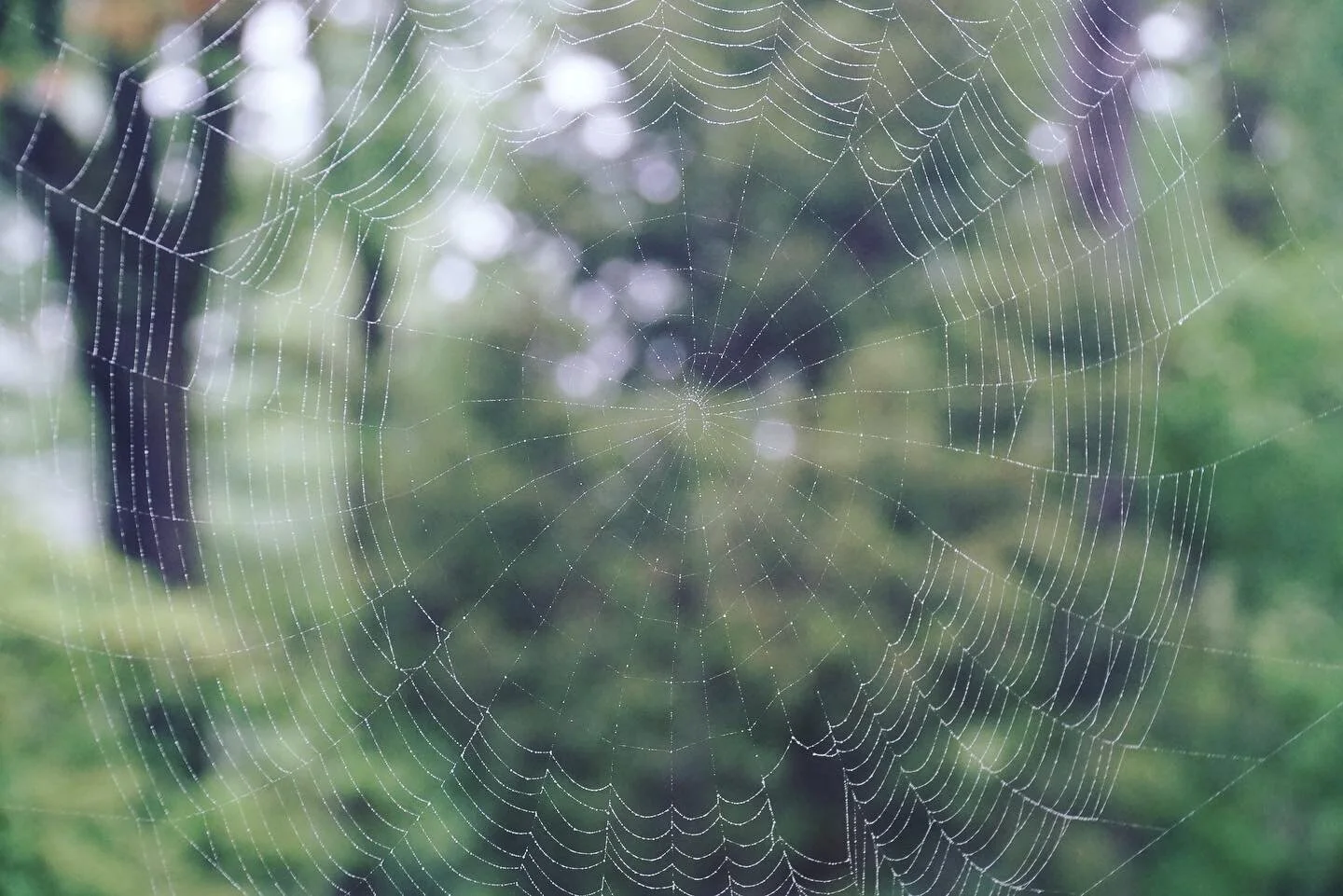 How to Begin a Better Routine