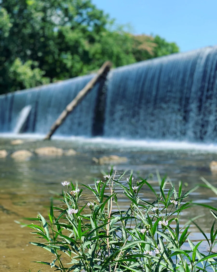 News Consumption for the HSP (Highly Sensitive Person)