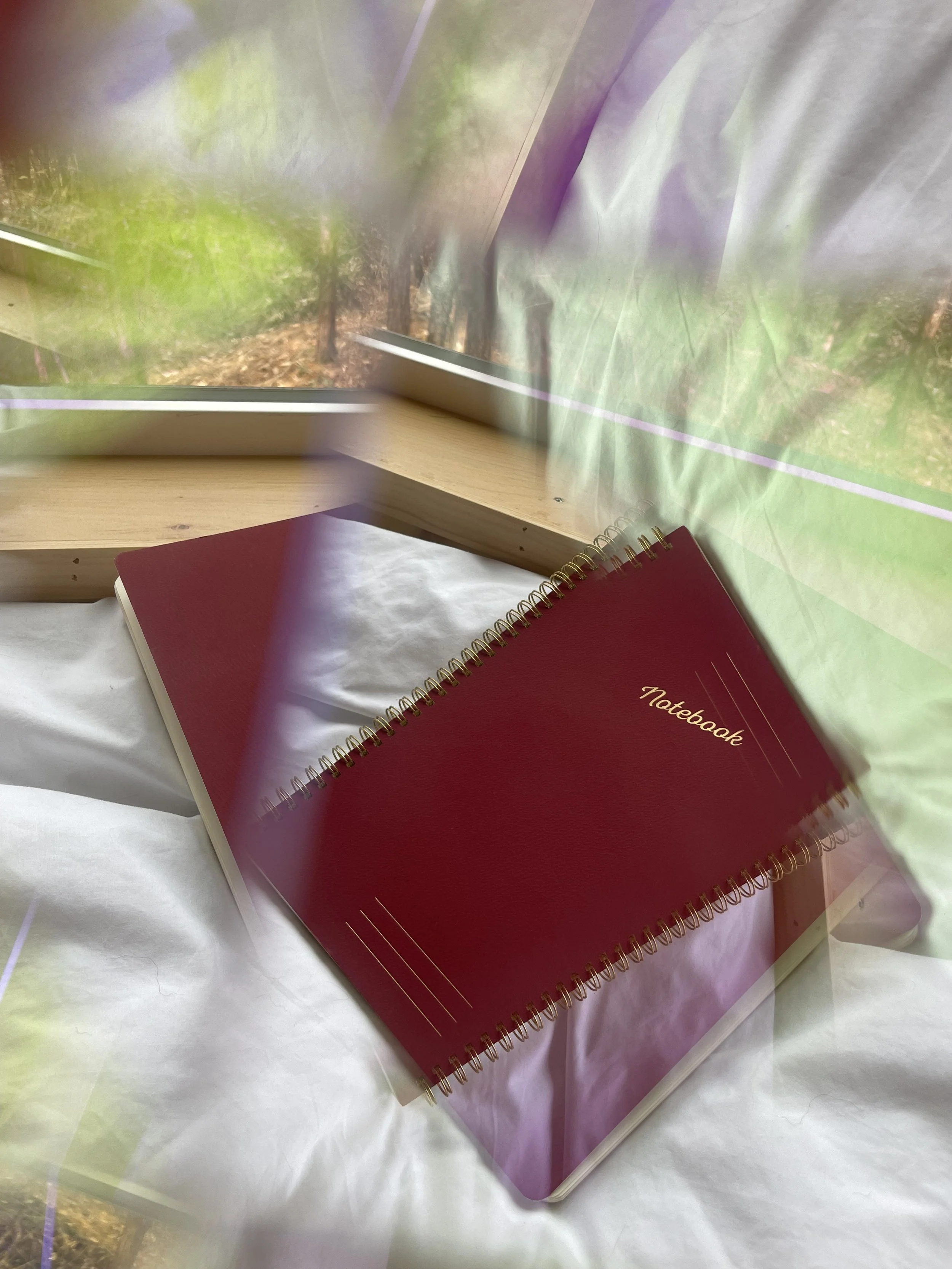 My Favorite Ghost Story