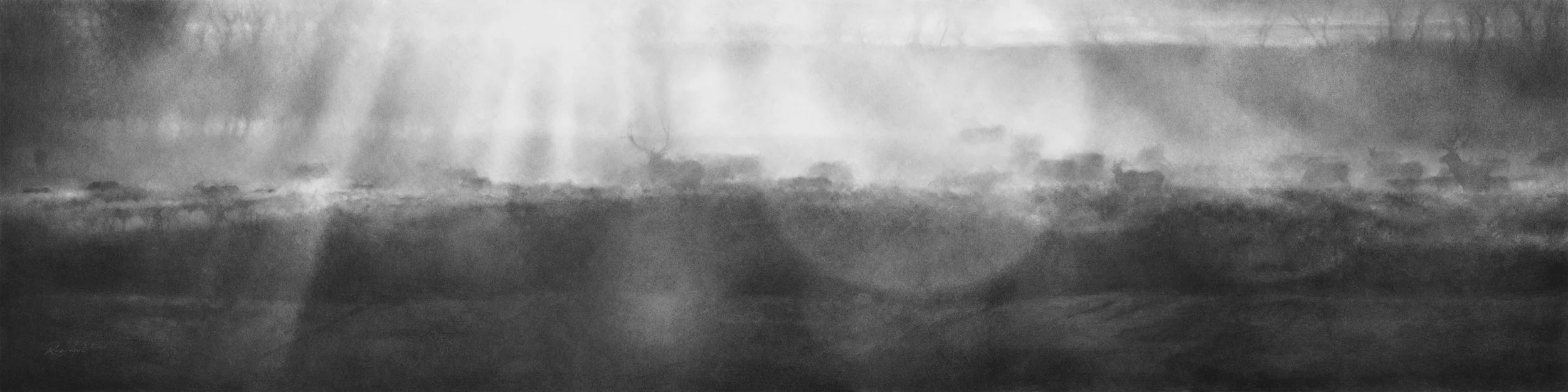 Gamradt_Diaphanous_15x60 copy.jpg
