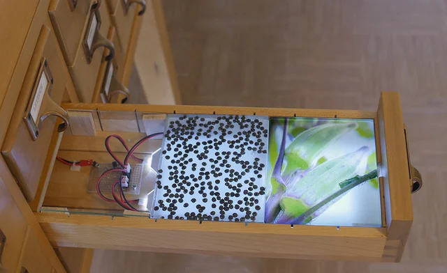 SeedCabinet3.jpeg