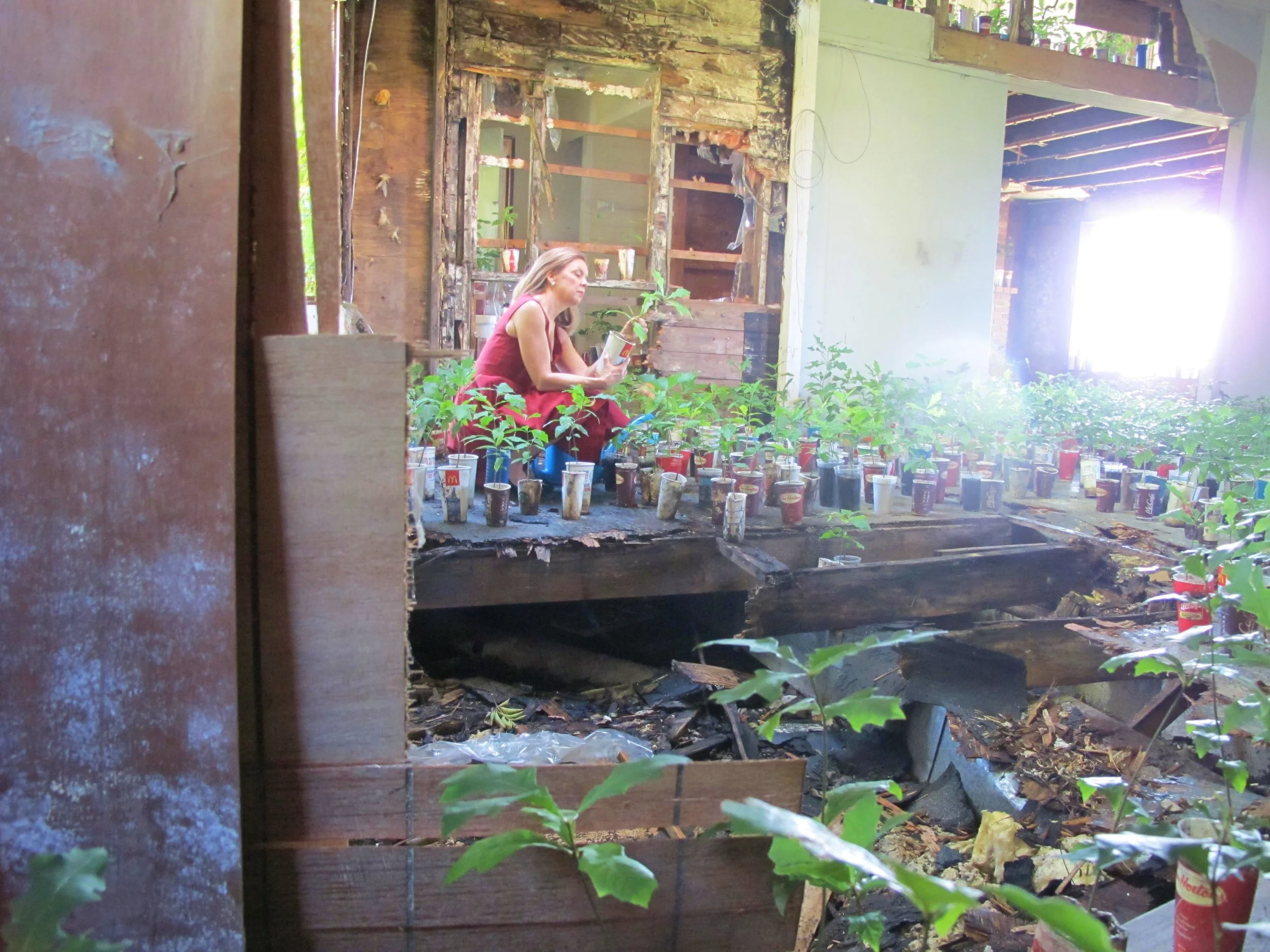 A House Besieged.JPG