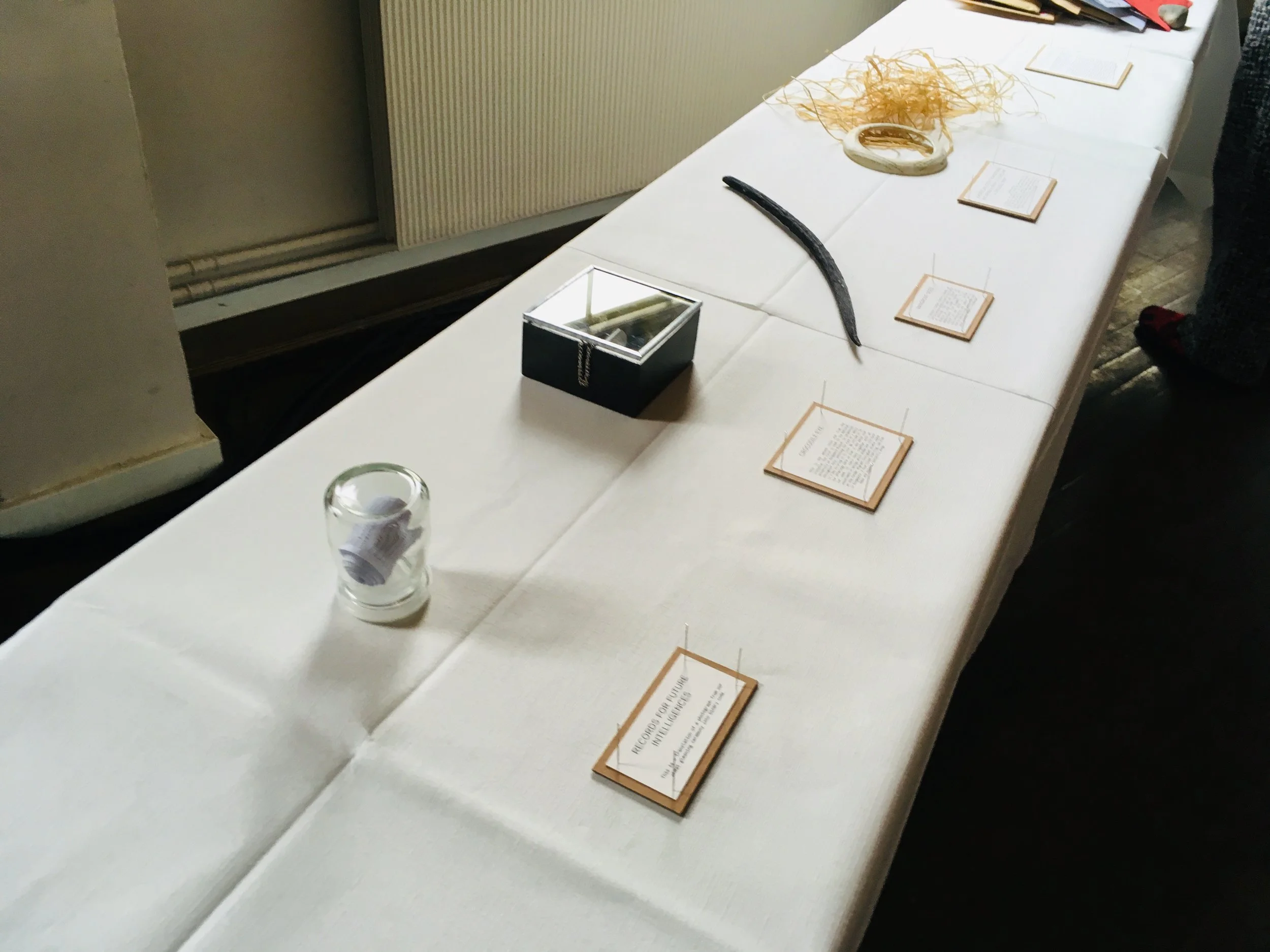 Copy of IMG_E7586.JPG