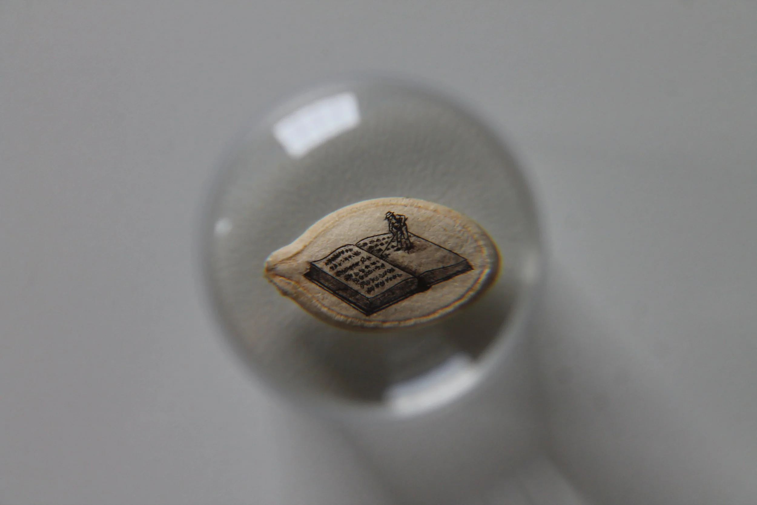 Copy of IMG_9810.JPG