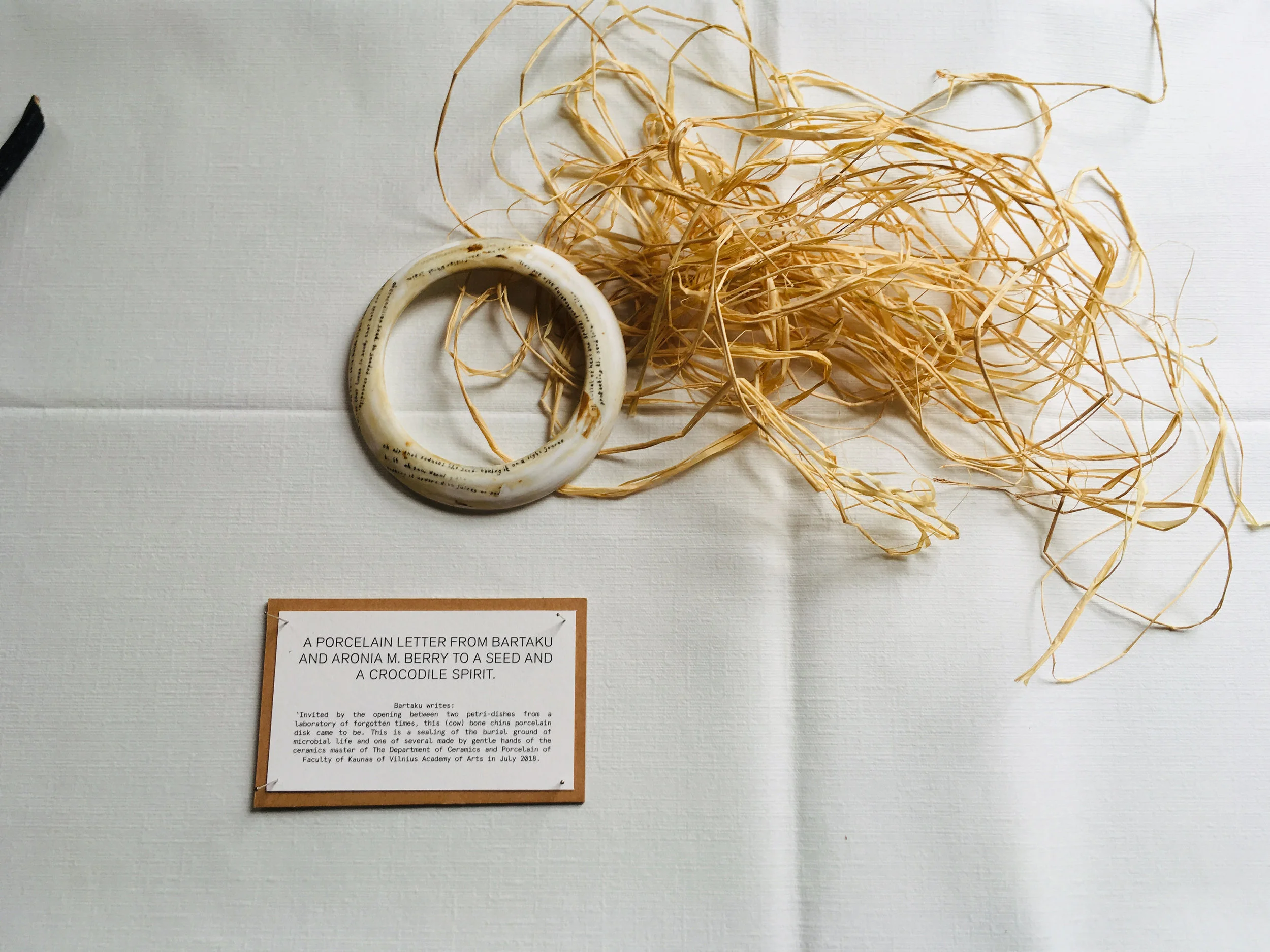 Copy of IMG_E7588.JPG