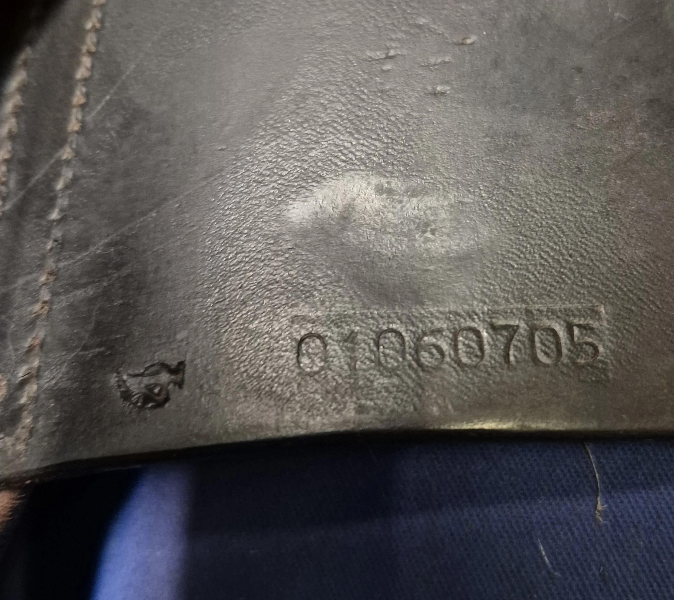 1000048337.jpg
