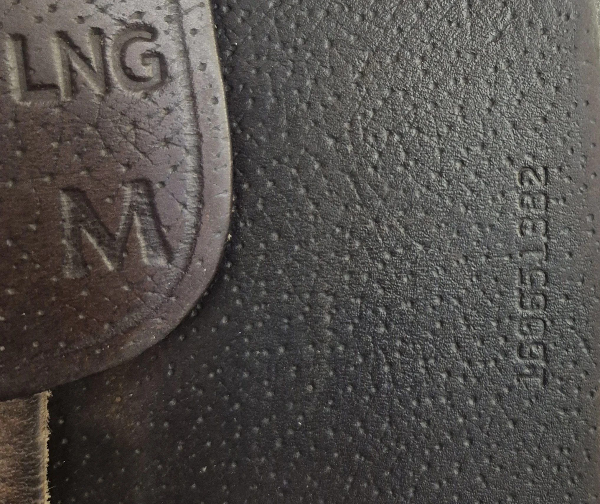 1000048681.jpg