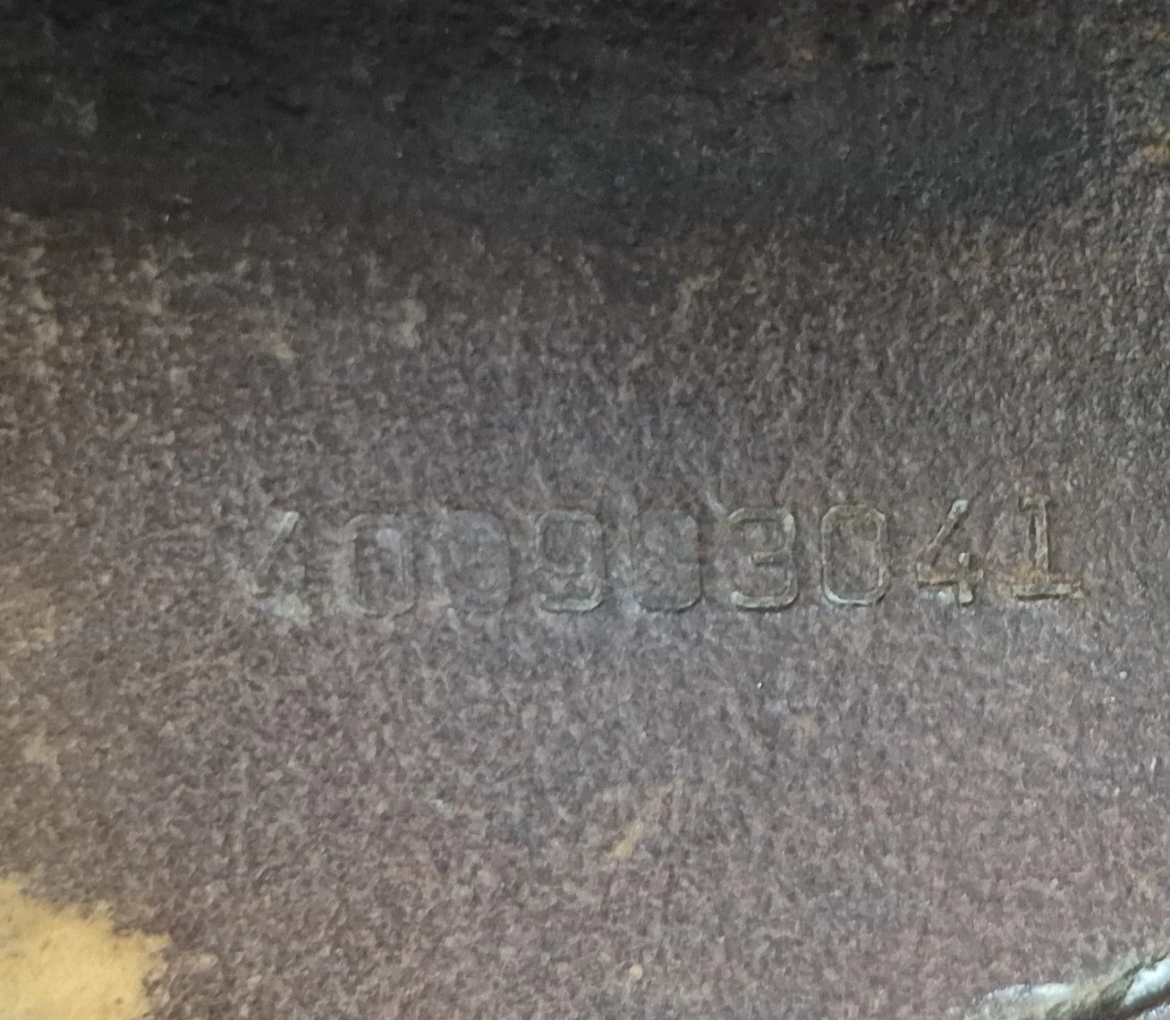 1000018950.jpg