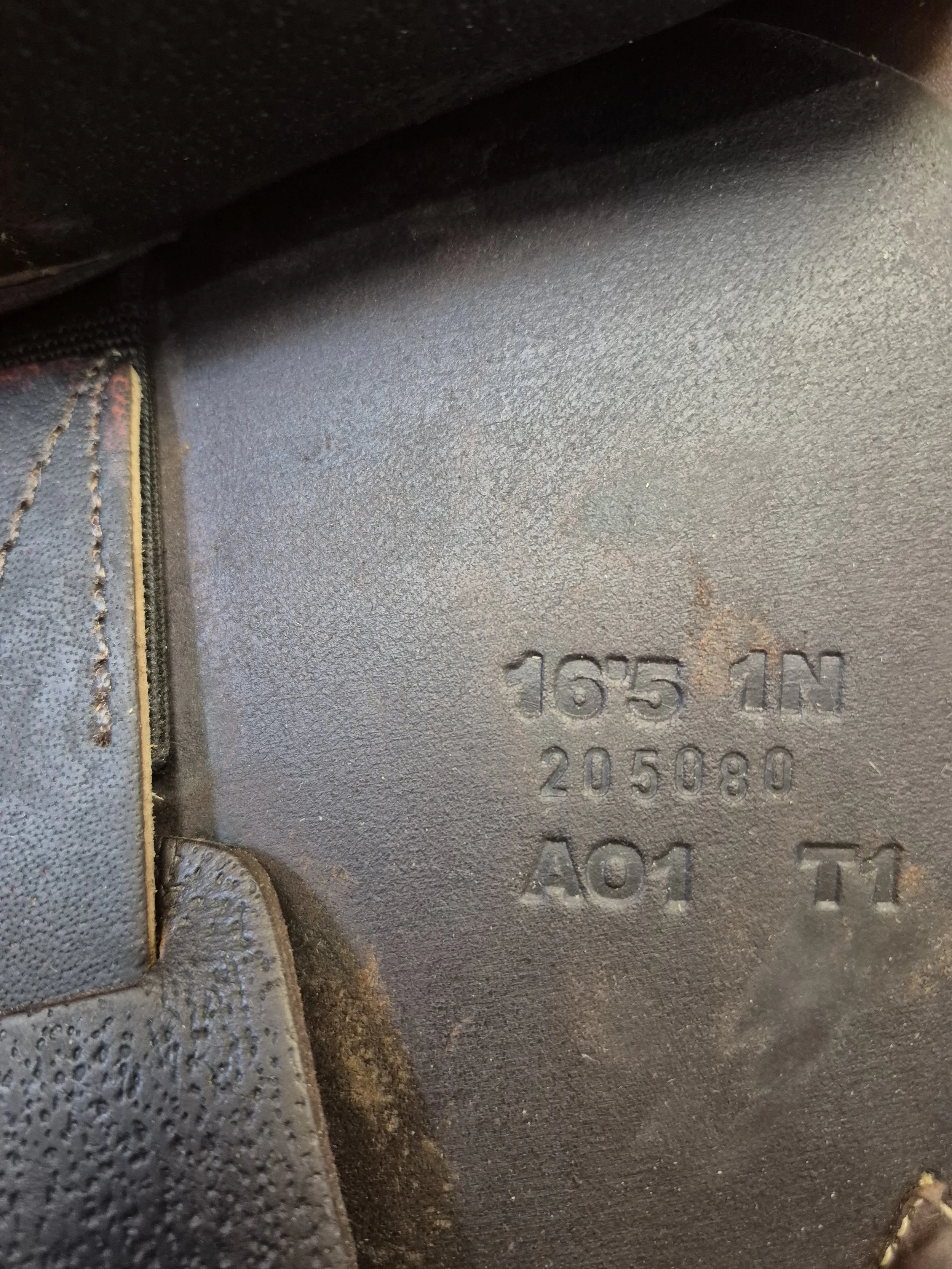 1000045700.jpg