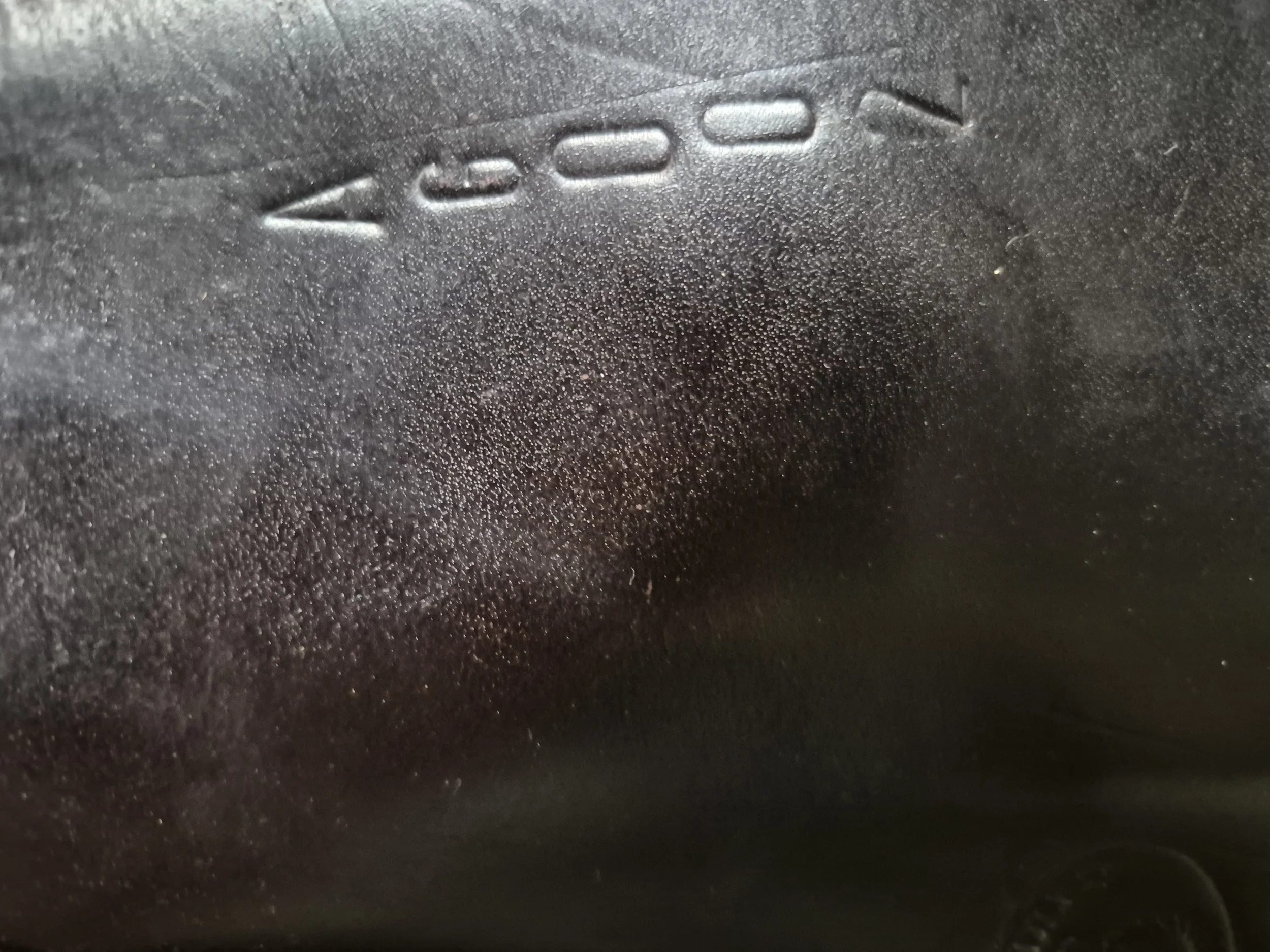 1000044305.jpg