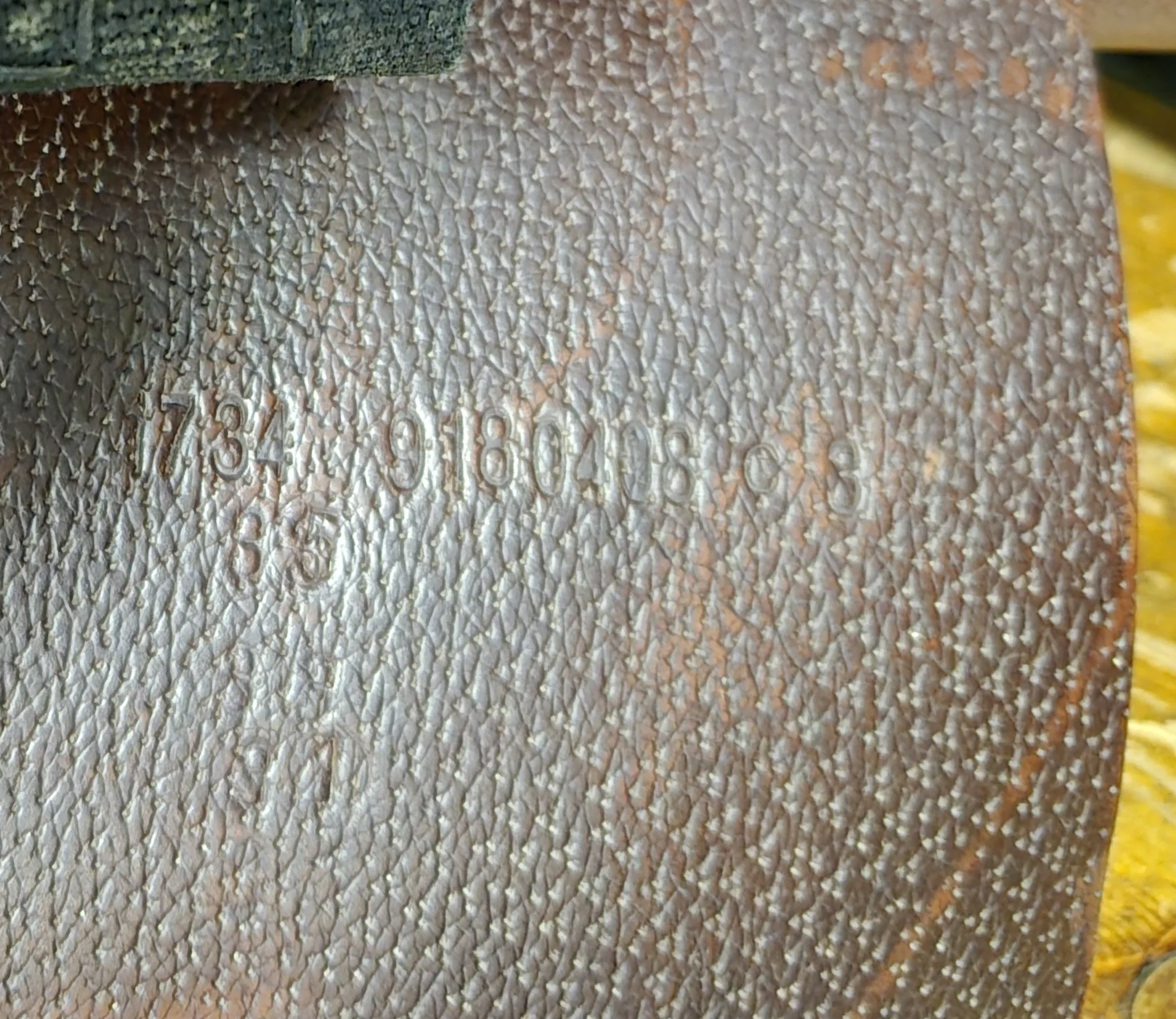 1000043028.jpg