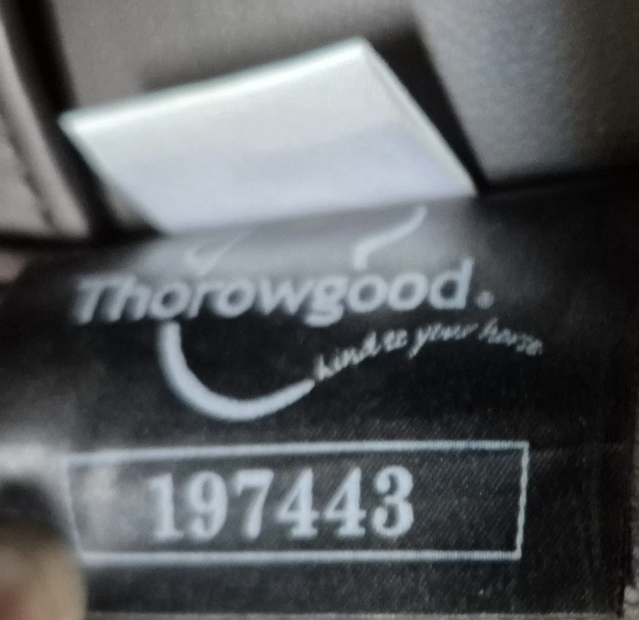1000027309.jpg