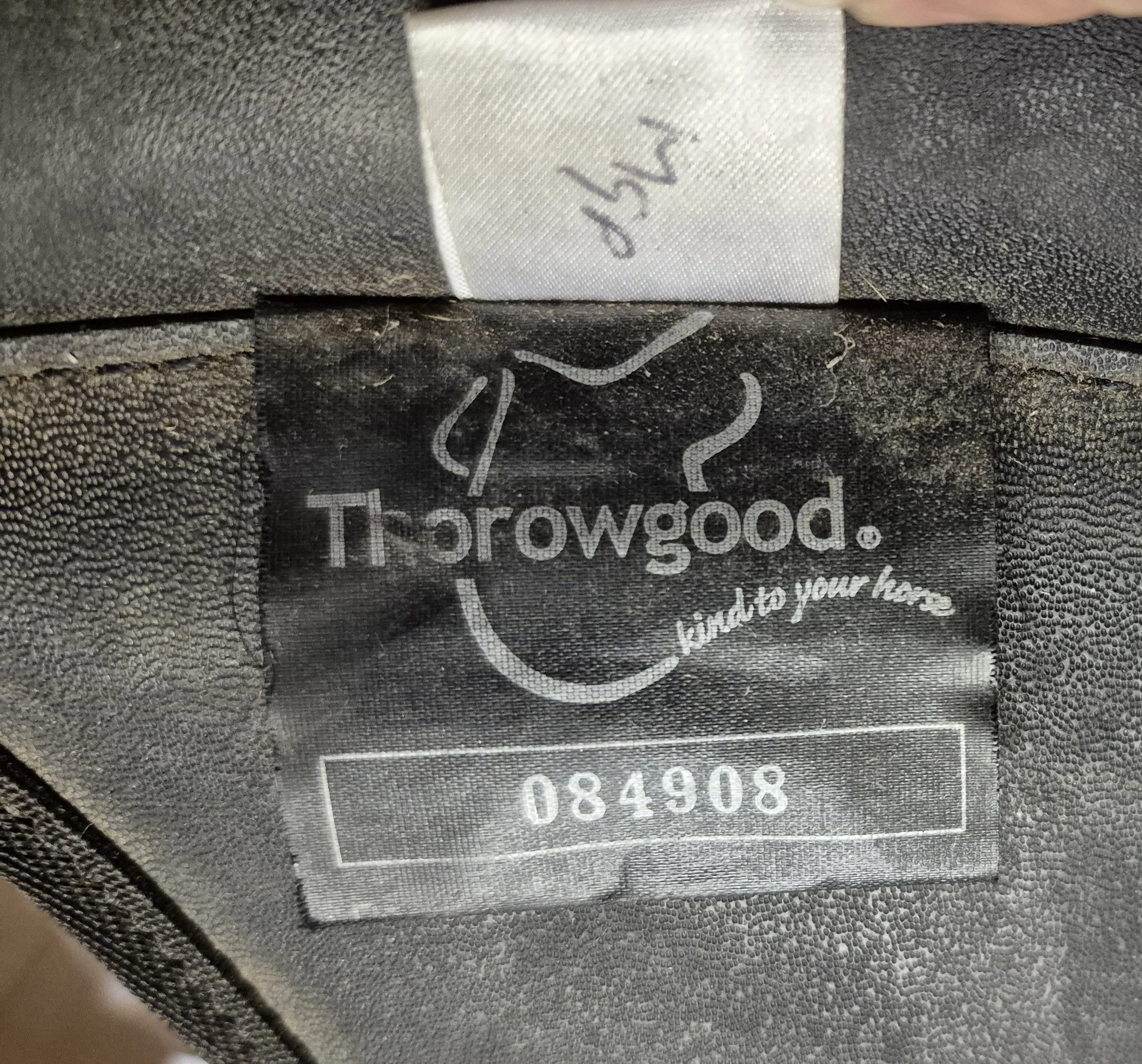 1000051593.jpg