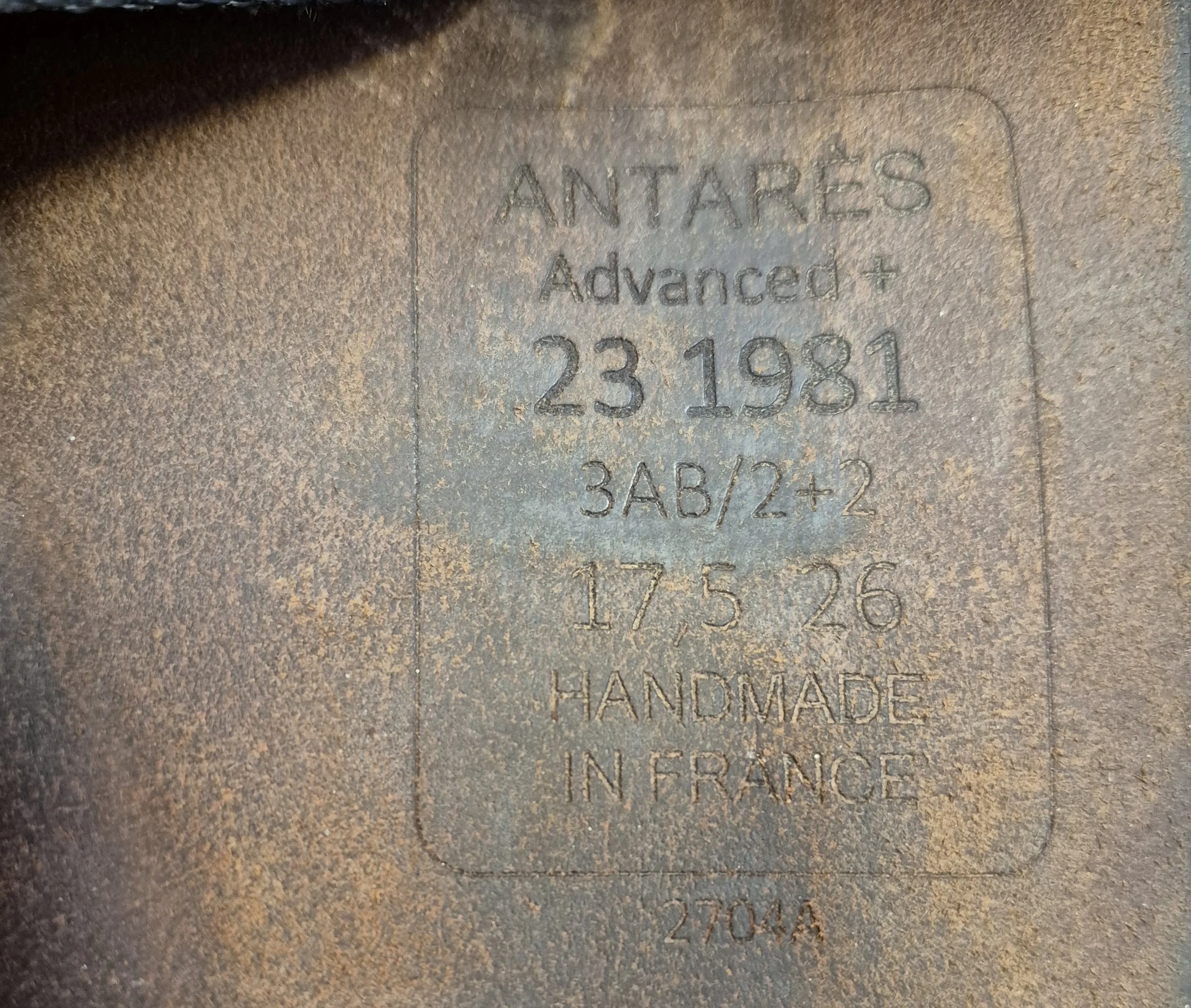 1000047208.jpg