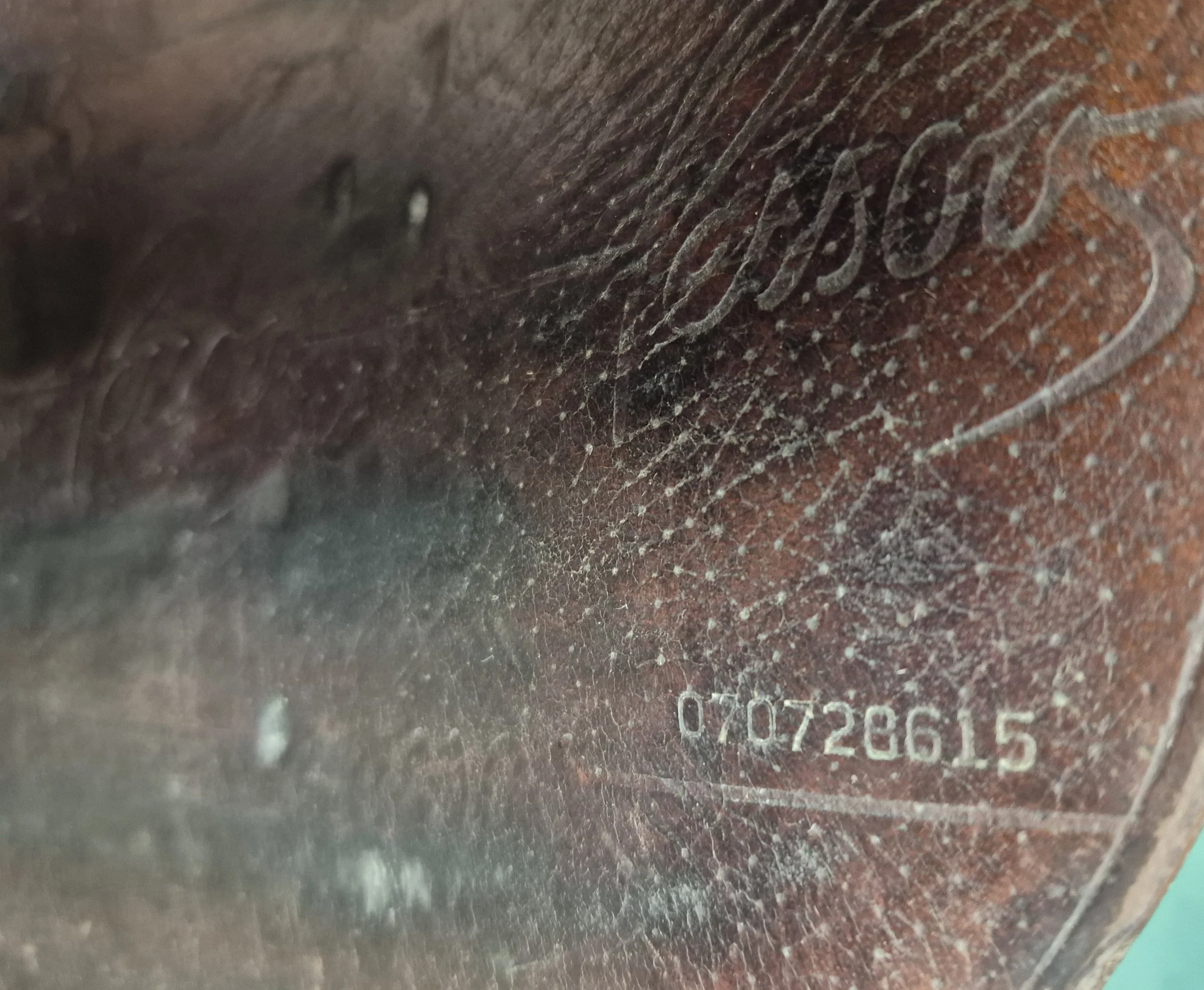 1000050053.jpg