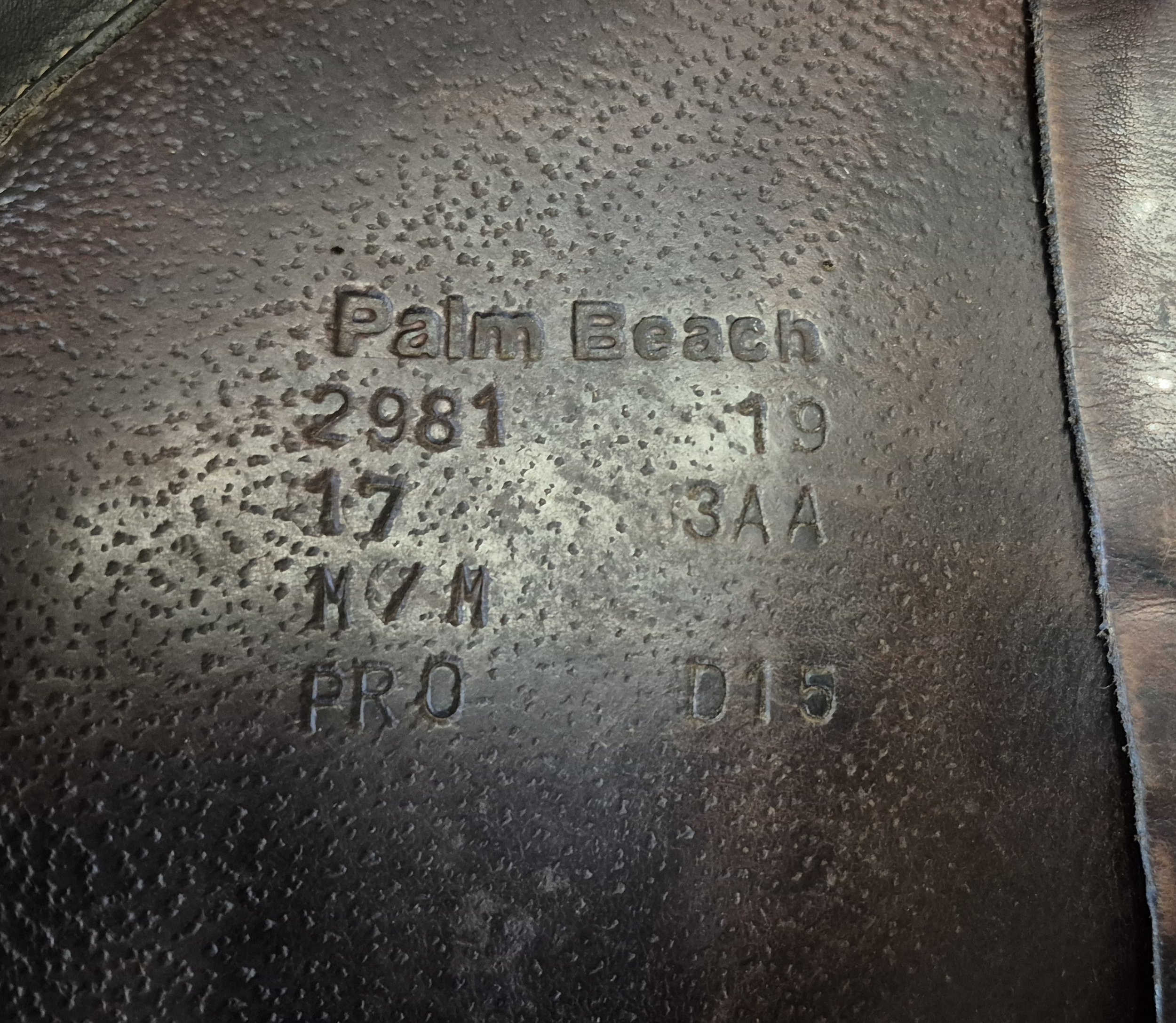 1000047281.jpg