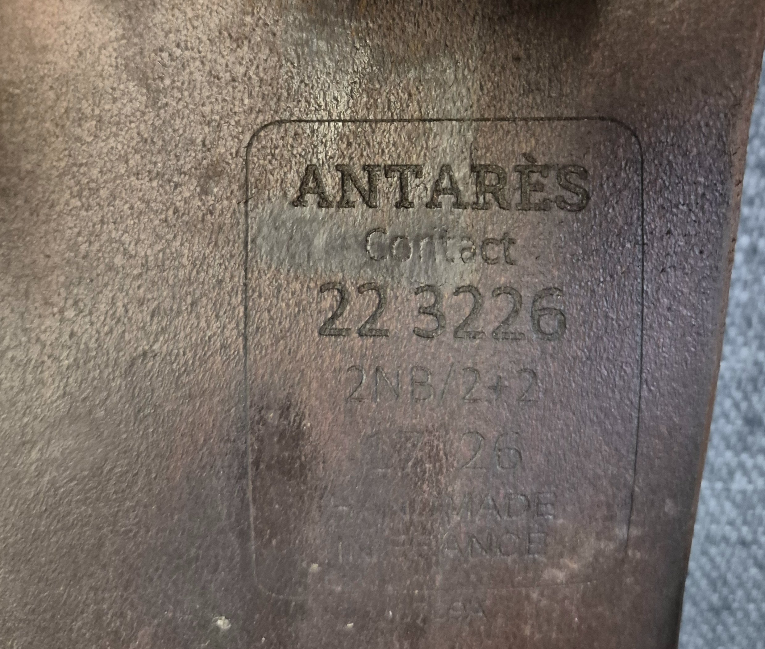 1000056041.jpg