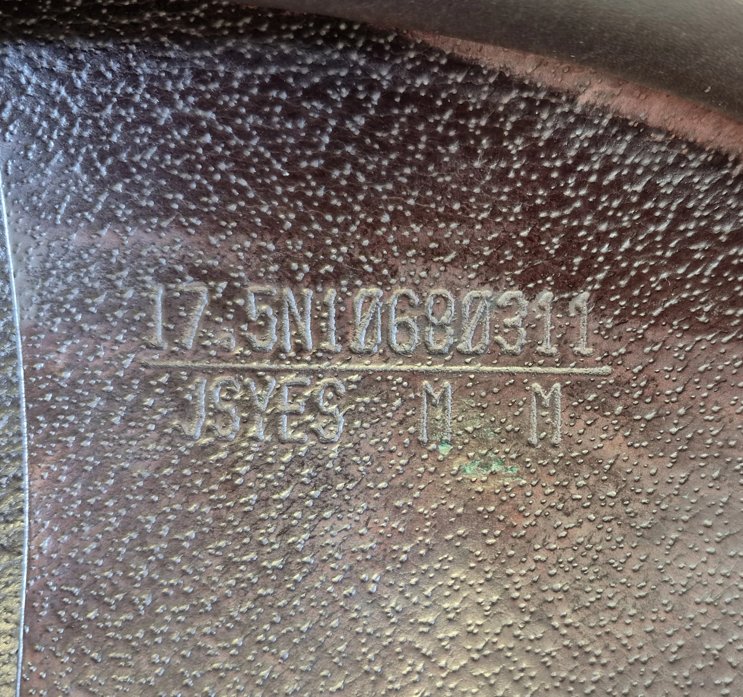 1000020514.jpg