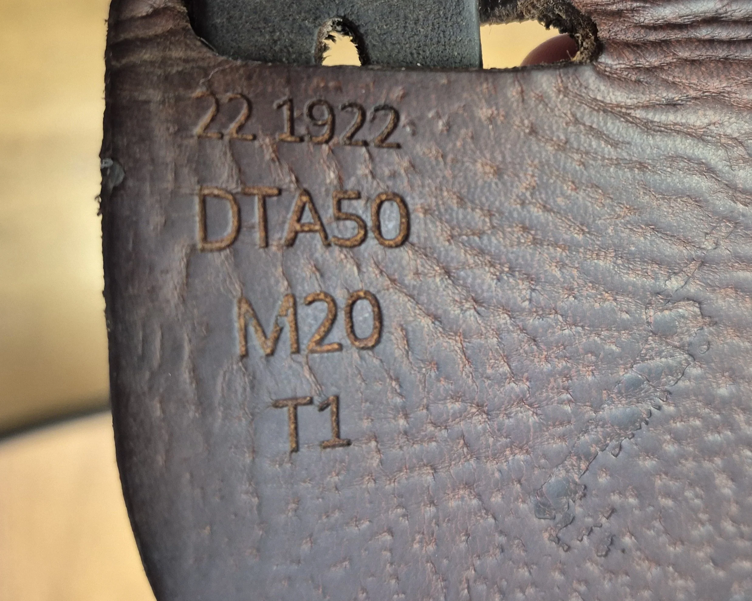 1000046499.jpg