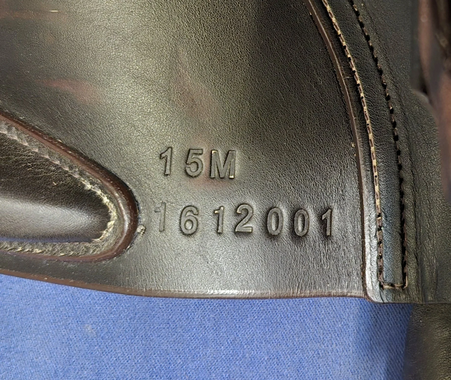 1000056459.jpg
