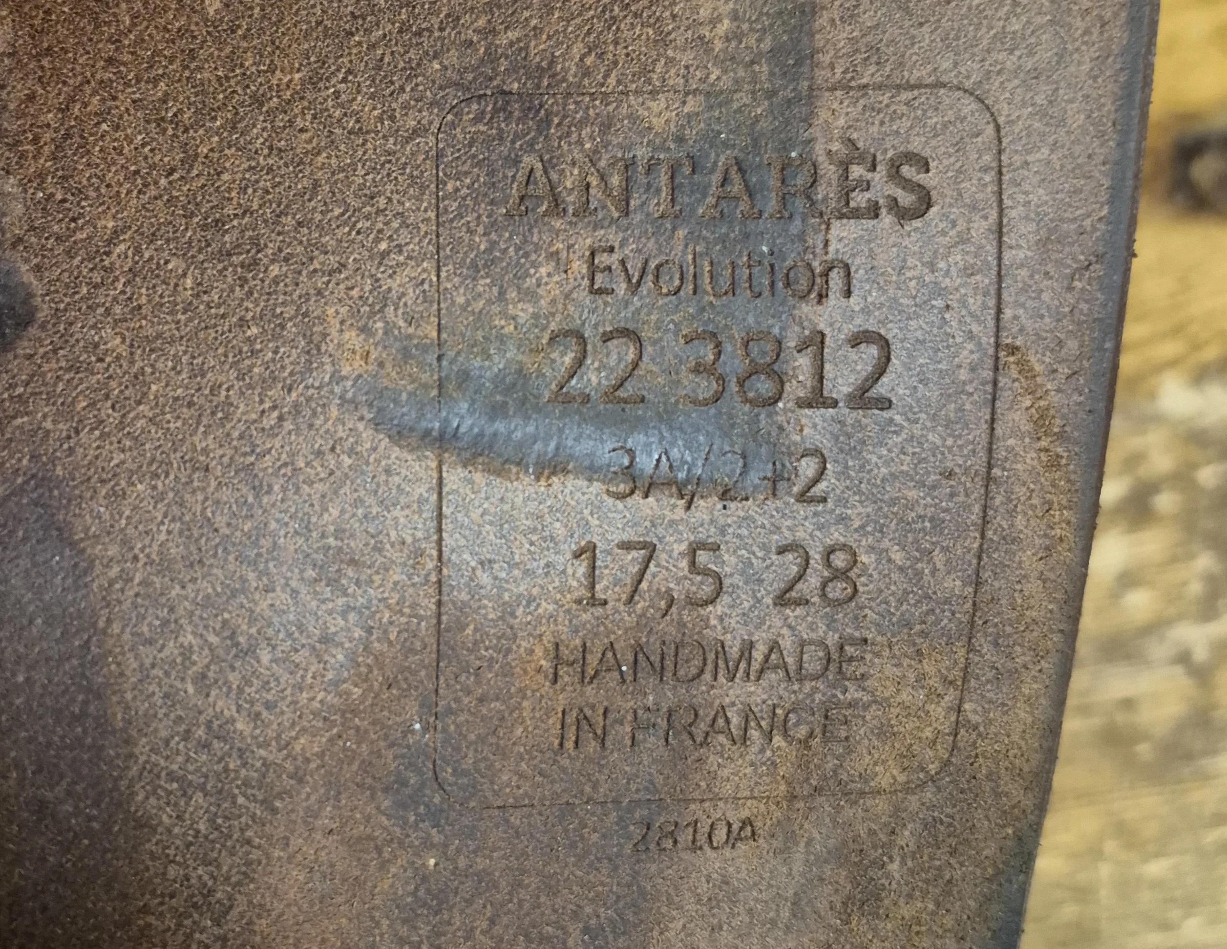 1000048423.jpg
