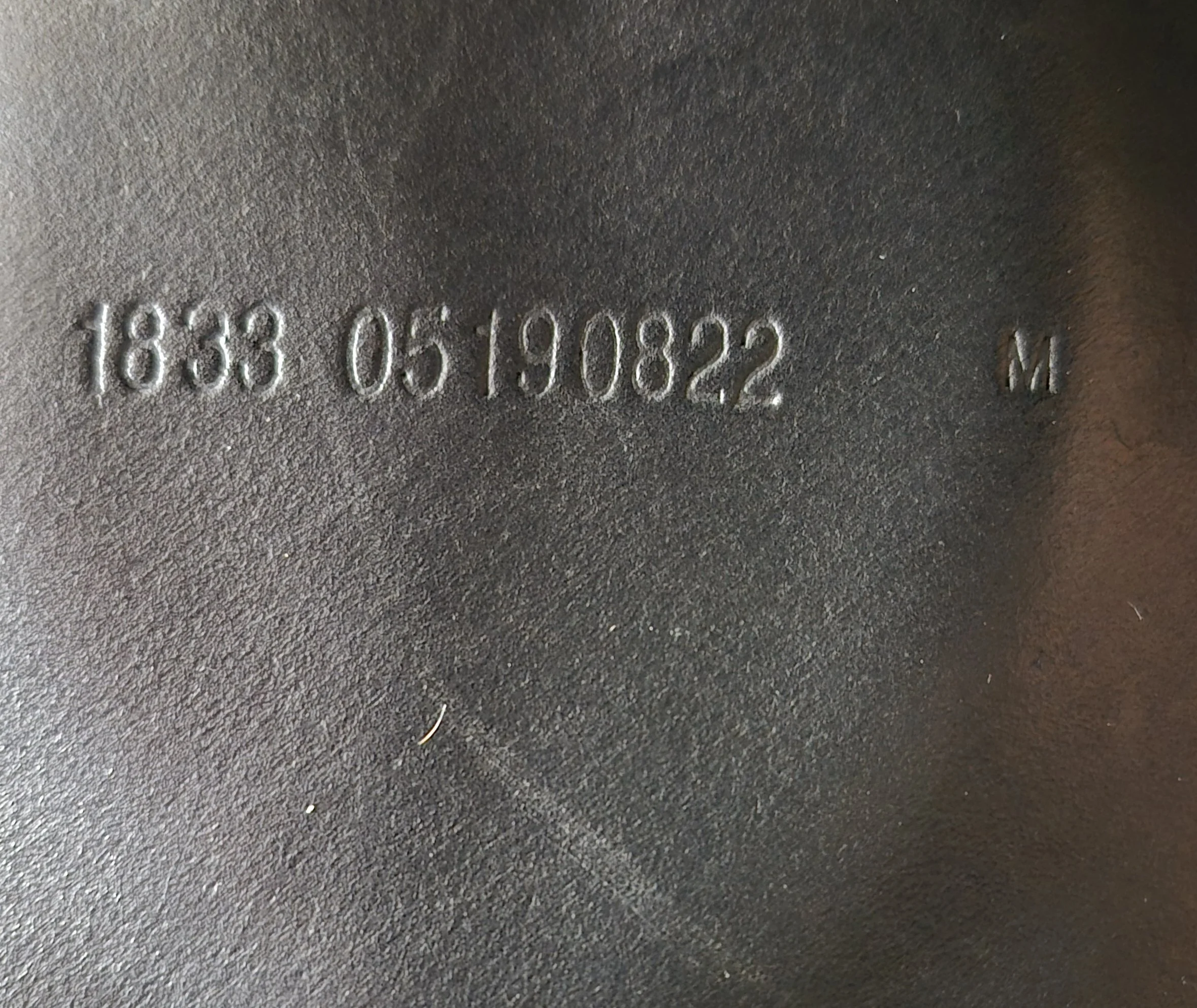 1000041287.jpg