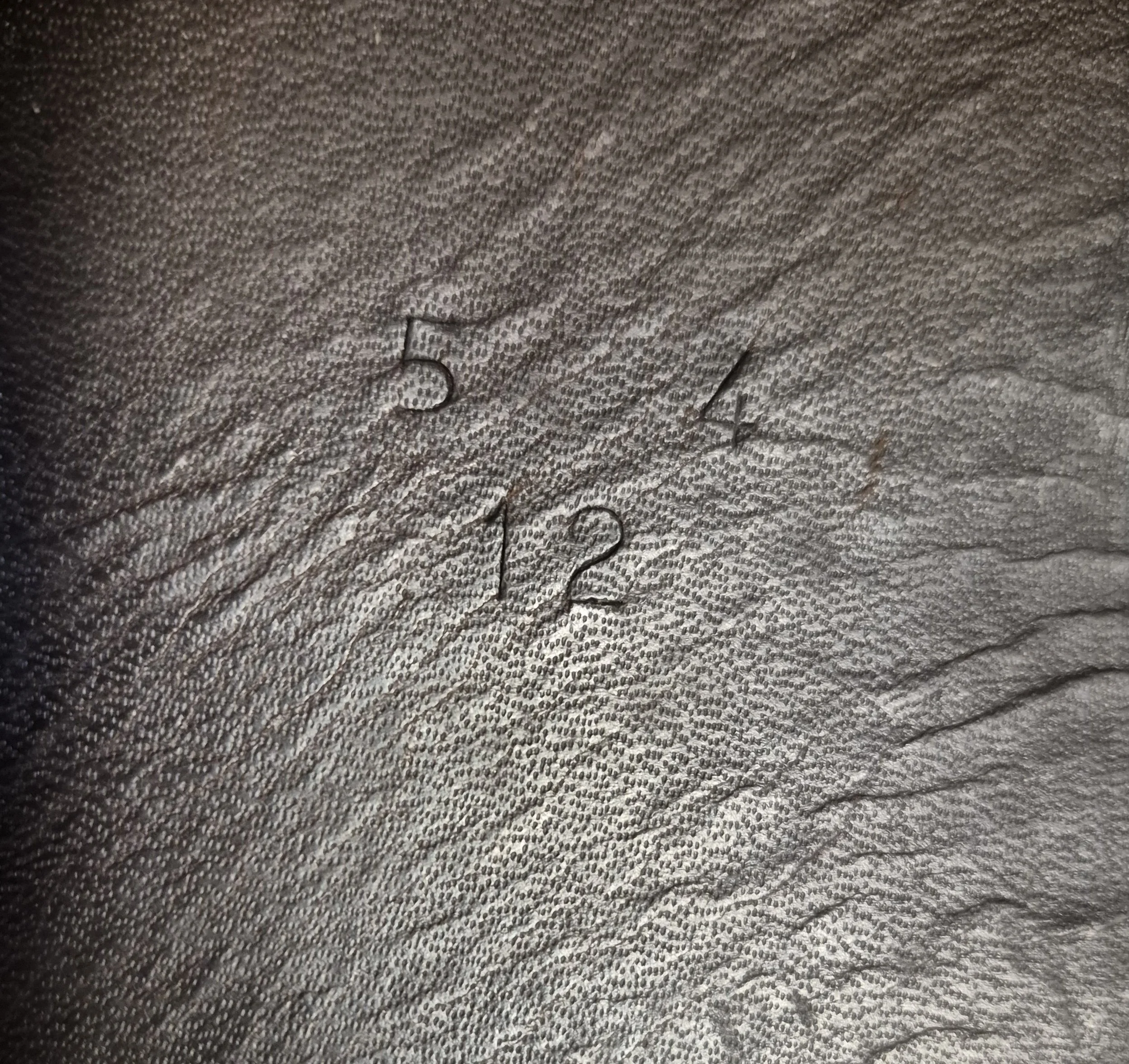 1000049511.jpg
