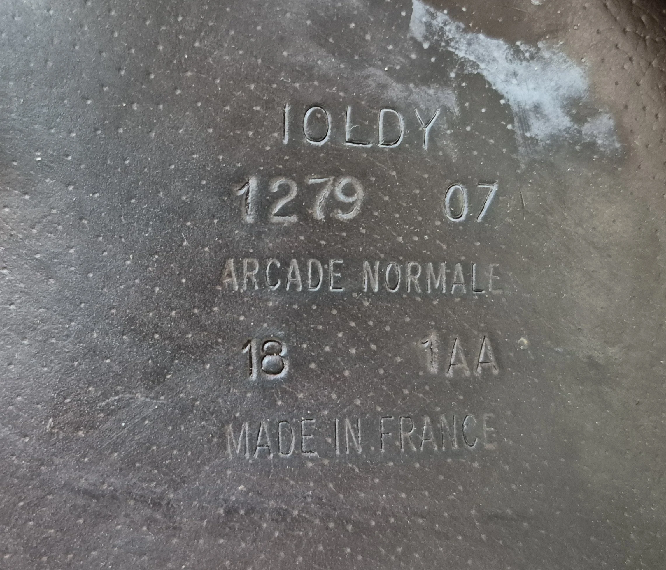 1000048497.jpg